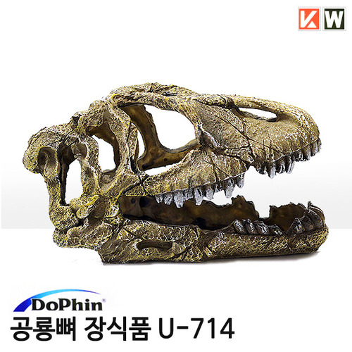 도핀 공룡뼈 장식품 U-714