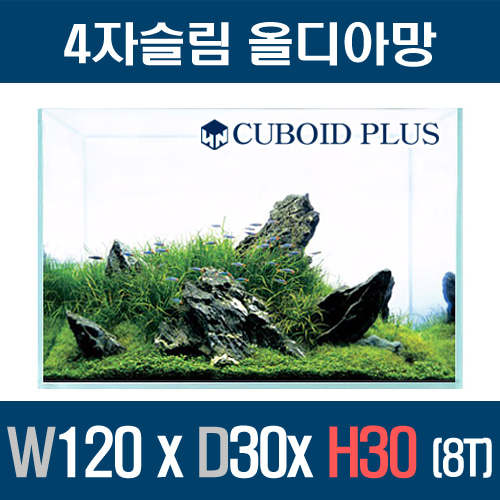 큐보이드플러스 4자슬림 1203030 올디아망 (8T)