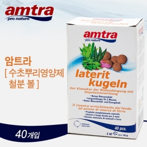 암트라 수초뿌리영양제-철분 볼 (40개입) 
