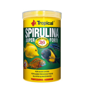 (Tropical) 수퍼 스피룰리나 포르테 36% tin 250ml / 50g